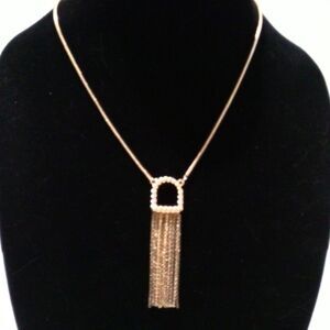 Express Signed Gold Tone Fringed Pendant Necklace